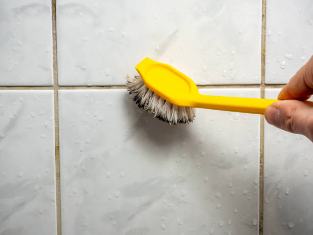 Home Mold Removal in Southern Gateway, VA