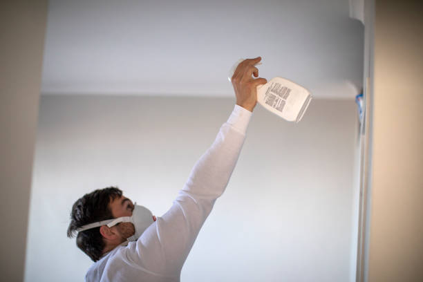 Best Professional Mold Removal  in Southern Gateway, VA