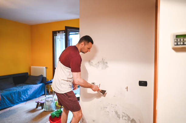 Best Office Mold Removal Services  in Southern Gateway, VA